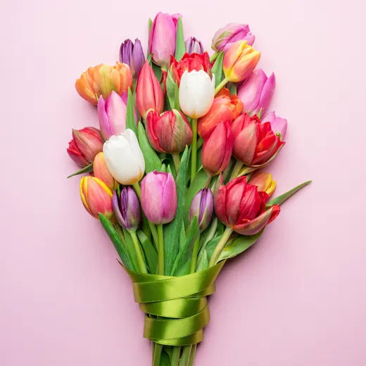 Les fleurs de l’amour